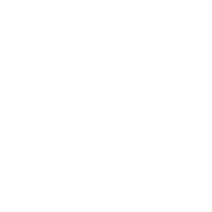 transportation icon